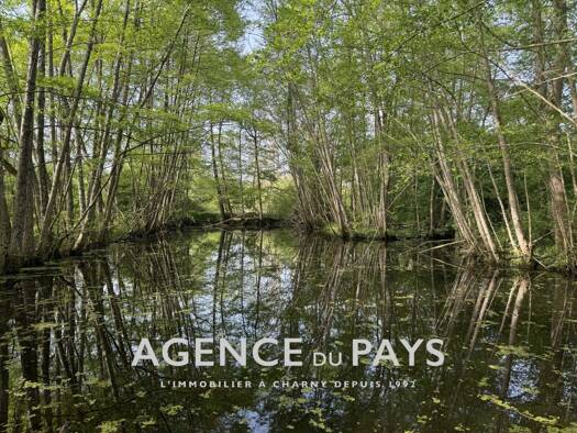 Maison à vendre 89 000 € 3 pièces 2 chambres 71 m² 7 275 m² de terrain Charny Orée de Puisaye 89120