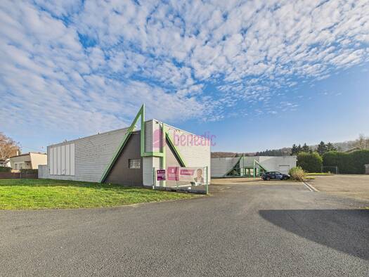 Local d'activités à vendre 885 000 € 1 395 m² d'espace de stockage Zone Industrielle-Hollerloch-Gros Hêtre Saint-Avold 57500