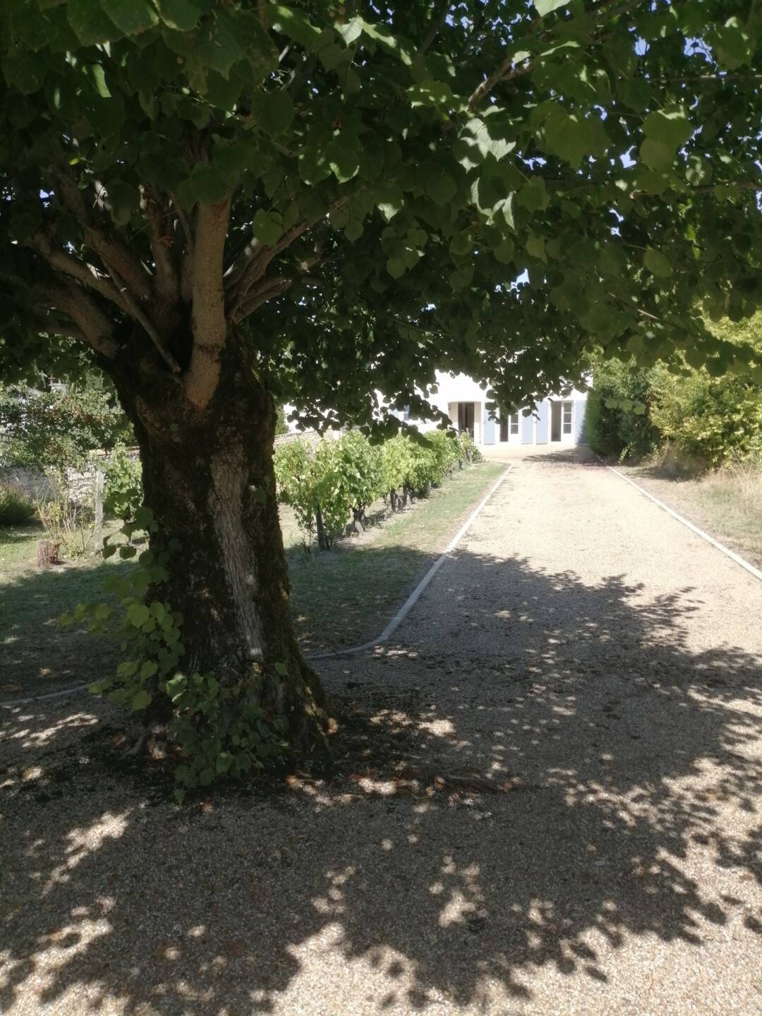 Maison à vendre, 106m², SAINT FORT SUR GIRONDE