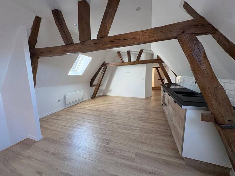 Maison à louer, 53m², VILLENEUVE SUR YONNE