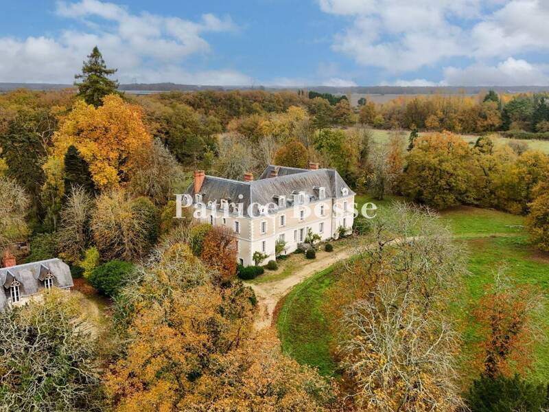 Maison à vendre, 600m², TOURS