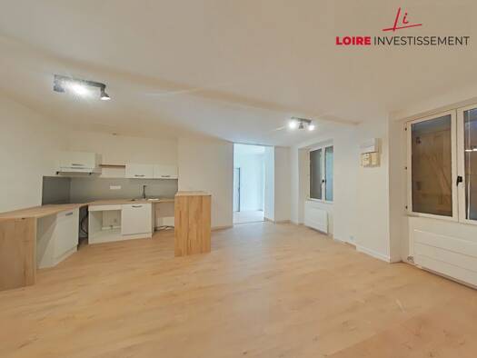 Appartement à louer 424 € 2 pièces 1 chambre 53,8 m² RDC Saint-Étienne 42000