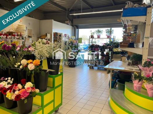 Fleuriste à vendre Fonds de commerce 38 333 € 1 pièce 51 m² de surface de vente Moret-Loing-et-Orvanne 77250