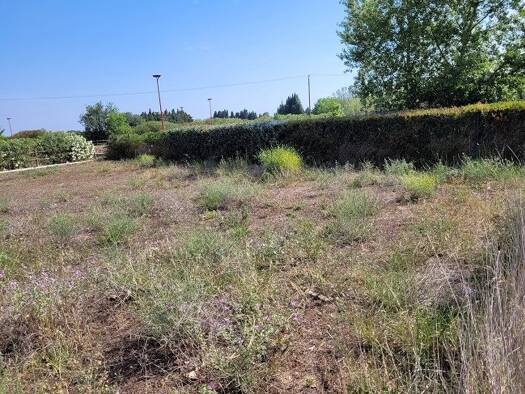 Terrain constructible à vendre 239 000 € 698 m² de terrain Sud Toulouges 66350