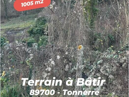 Terrain constructible viabilisé à vendre 19 800 € 1 005 m² de terrain Sud Tonnerre 89700