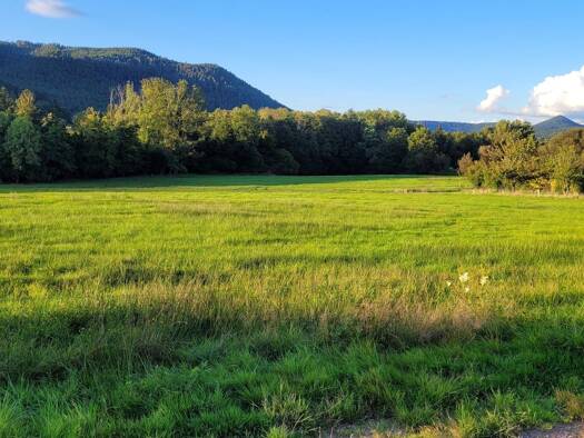 Terrain constructible à vendre 73 000 € 2 161 m² de terrain Vigne-Roche des Fées-Purgatoire Saint-Dié-des-Vosges 88100
