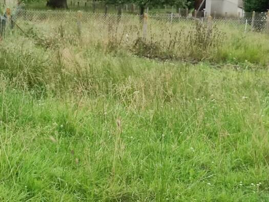 Terrain constructible à vendre 50 000 € 556 m² de terrain Talmontiers 60590