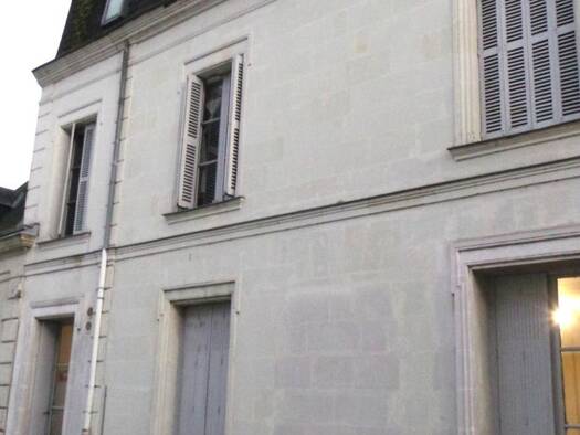 Immeuble à vendre 479 000 € 246 m² Langeais 37130
