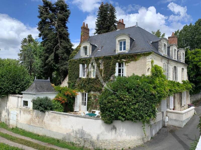 Maison à vendre, 320m², NOYERS SUR CHER