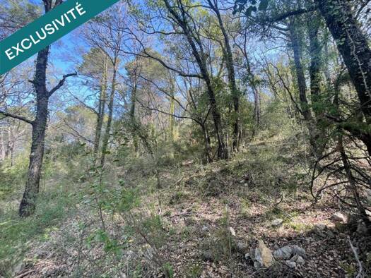 Terrain à vendre 10 000 € 14 290 m² de terrain Châteaudouble 83300