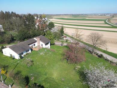 Maison à vendre 1 248 000 € 8 pièces 4 chambres 358,3 m² 2 000 m² de terrain Blaesheim 67113
