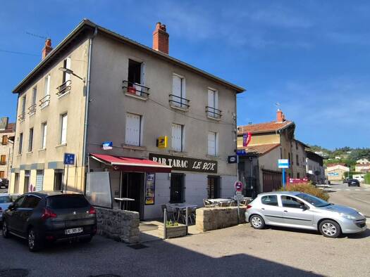 Appartement en viager libre Bouquet 27 000 € 17 pièces 380 m² 2 étages Luriecq 42380