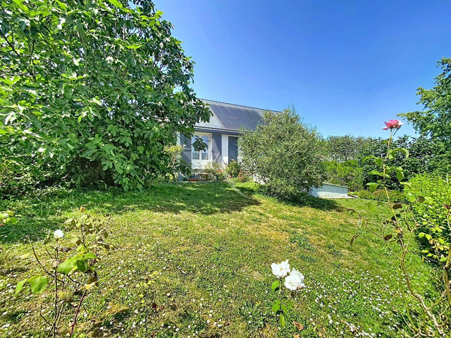 Maison à vendre, 128m², MONTREUIL JUIGNE
