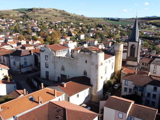 Château à vendre 650 000 € 14 pièces 12 chambres 428 m² 1 207 m² de terrain Mur-sur-Allier 63115