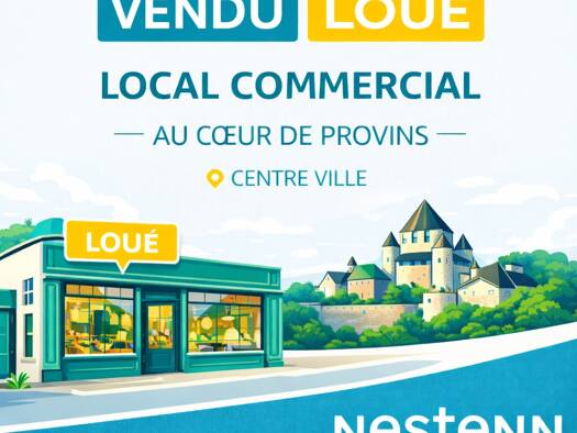 Local commercial à vendre 145 800 € 136 m² de surface de vente Centre Est Provins 77160