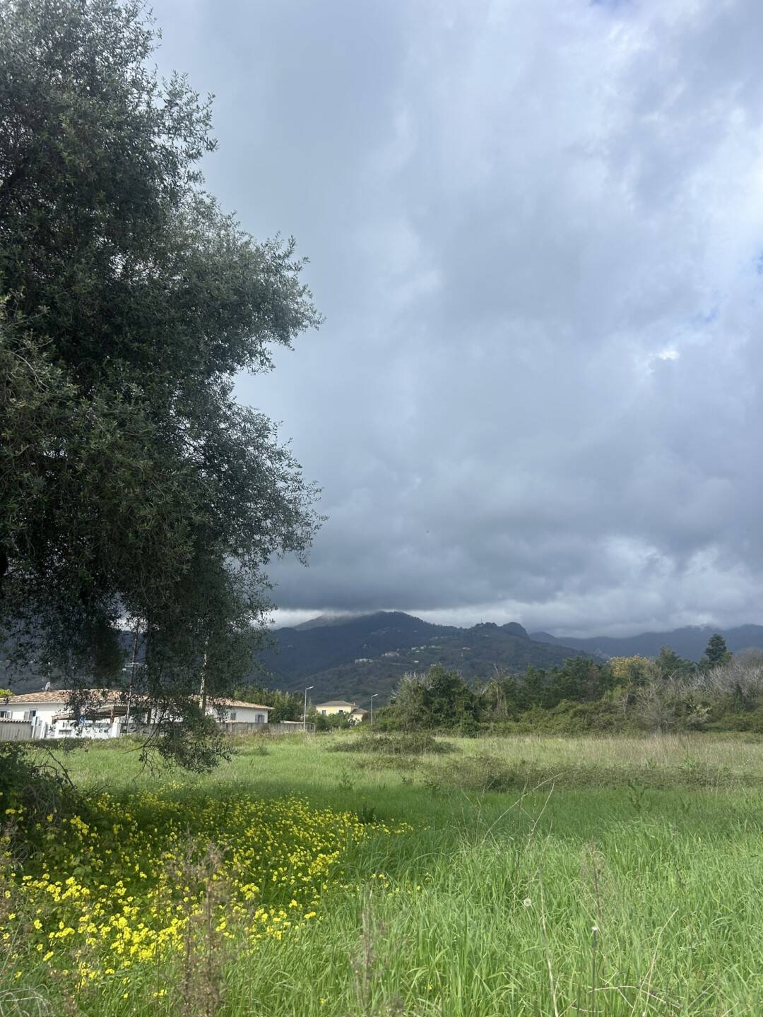 Maison à vendre, 42m², SANTA LUCIA DI MORIANI