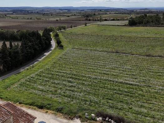 Maison à vendre 3 105 000 € 8 pièces 6 chambres 340 m² 600 000 m² de terrain Puisserguier 34620