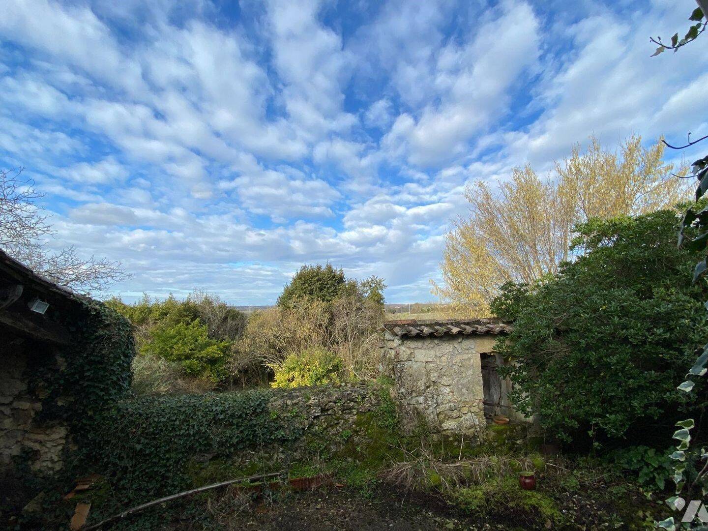 Maison à vendre, 225m², SAINT ROMAIN LA VIRVEE