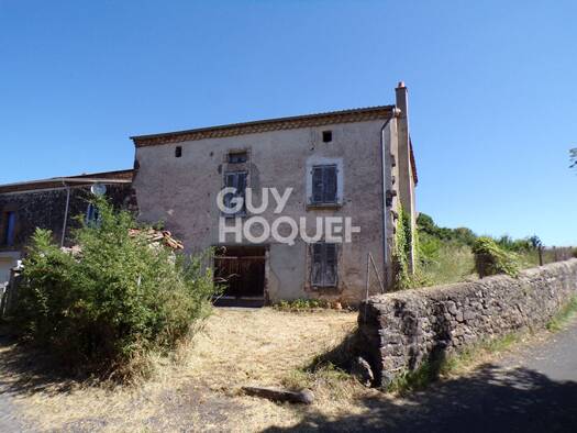 Maison à vendre 56 000 € 4 pièces 2 chambres 110 m² 675 m² de terrain Siaugues-Sainte-Marie 43300