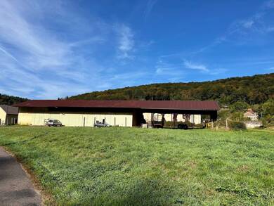 Garage/Stationnement à vendre 220 000 € 3 700 m² St Bresson 70280