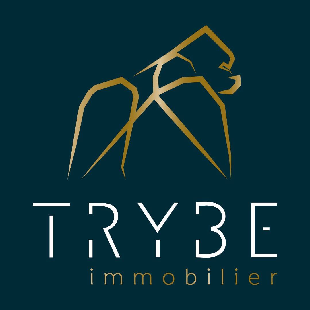 Trybe Immobilier