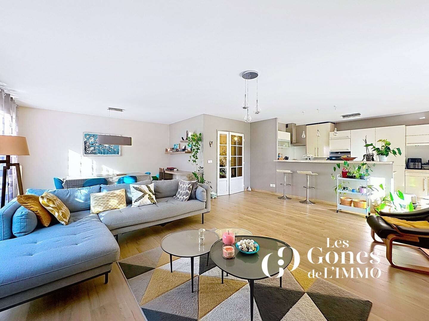 Maison à vendre, 120m², TASSIN LA DEMI LUNE