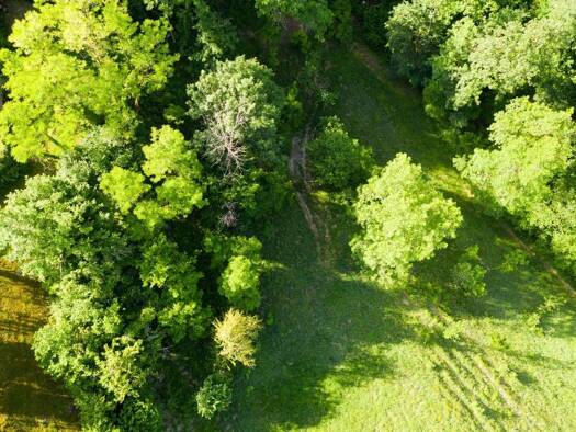 Maison à vendre 698 000 € 4 pièces 2 chambres 116,37 m² 33 686 m² de terrain Alby-sur-Chéran 74540