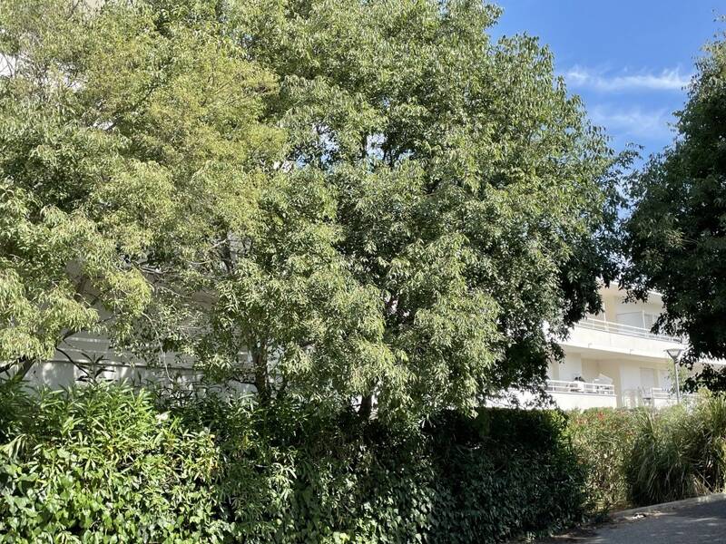 Maison à vendre, 23m², MONTPELLIER