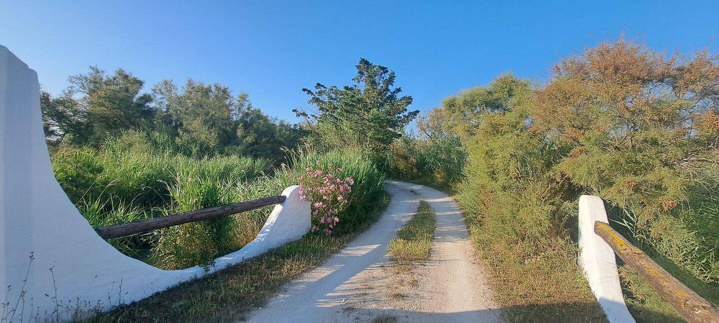 Maison à vendre, 270m², SAINTES MARIES DE LA MER