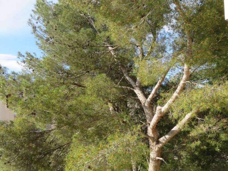 Maison à louer, 54m², NIMES