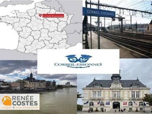 Appartement en viager occupé Bouquet 72 658 € 3 pièces 3 chambres 71 m² RDC/3 Pressoir-Prompt-Bas Coudray Corbeil Essonnes 91100