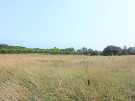 Terrain constructible à vendre 40 000 € 3 864 m² de terrain Saint-Aubin-de-Cadelech 24500