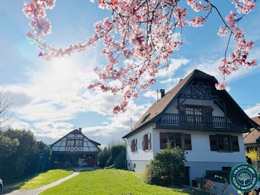 Maison à vendre 548 600 € 8 pièces 5 chambres 217 m² 2 873 m² de terrain Melsheim 67270