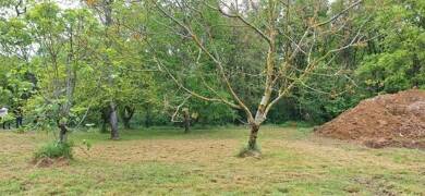 Terrain viabilisé à vendre 186 000 € 680 m² de terrain Chateau-d'Eau Tournefeuille 31170