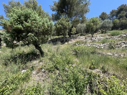 Terrain constructible à vendre 569 000 € 2 452 m² de terrain Tourrette Levens 06690