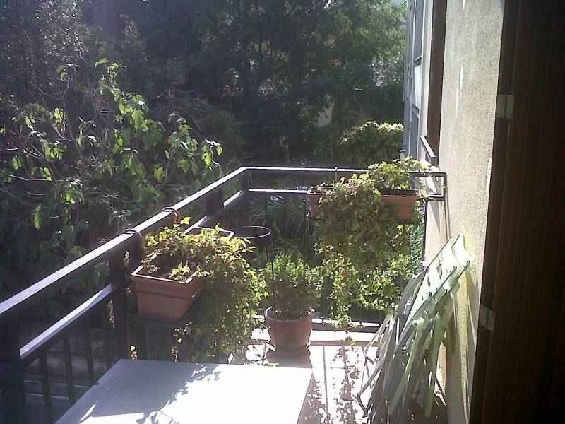 Maison à louer, 43m², TOULOUSE