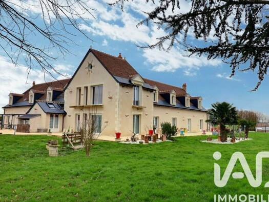 Maison à vendre 1 494 000 € 16 pièces 11 chambres 994 m² 14 177 m² de terrain Neuillé-Pont-Pierre 37360