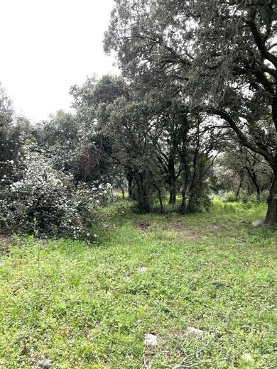 Terrain constructible à vendre 232 880 € 284 m² de terrain Saint Bres 34670