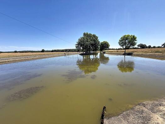 Propriété de loisirs à vendre 86 900 € 16 000 m² de terrain Châteaubriant 44110