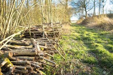 Terrain à vendre 15 000 € 15 372 m² de terrain Bussy Lettree 51320
