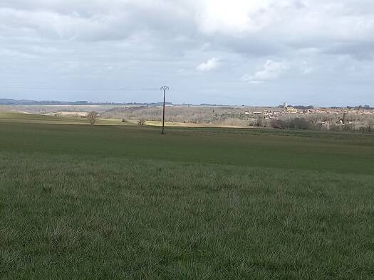 Terrain à vendre 38 000 € 1 950 m² de terrain Monfort 32120