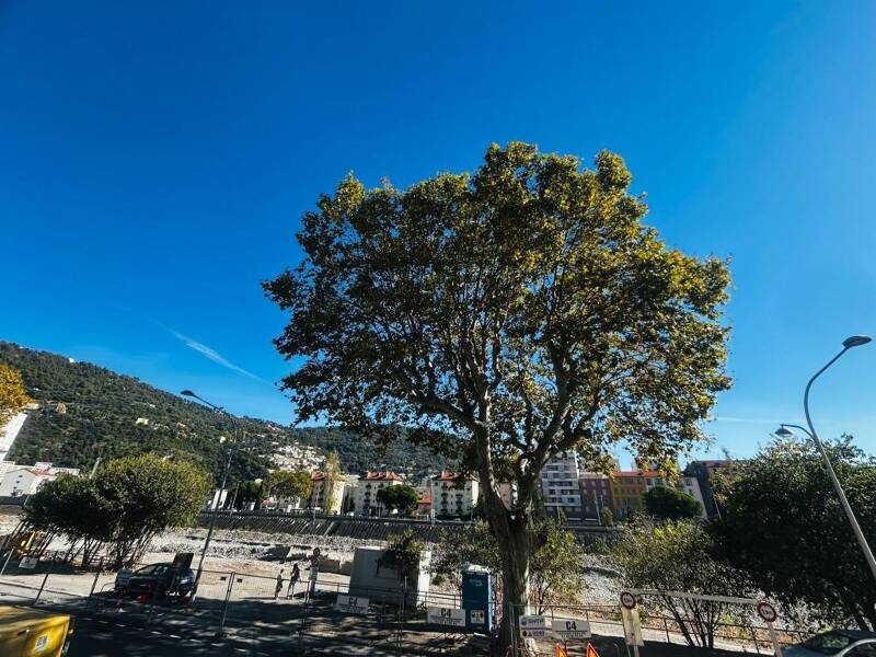 Maison à louer, 25m², NICE