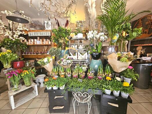 Boutique à vendre Fonds de commerce 52 000 € 50 m² de surface de vente Grammont Tours 37000