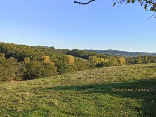 Terrain constructible à vendre 23 990 € 1 973 m² de terrain Saint-Pantaléon-de-Larche 19600