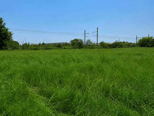 Terrain constructible viabilisé à vendre 69 000 € 538 m² de terrain Sud Pierrelatte 26700