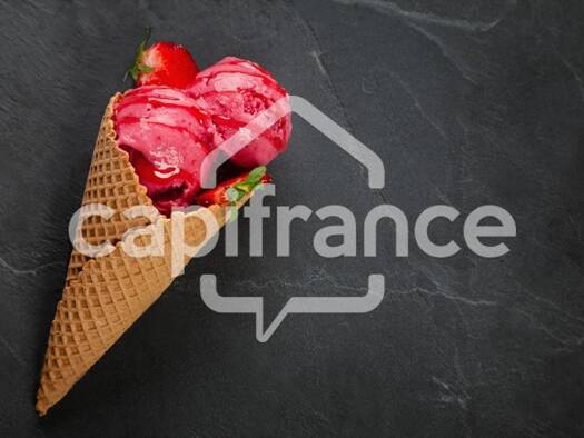 Bijouterie à vendre Fonds de commerce 234 000 € 5 pièces 112 m² de surface de vente Secteur Sauvegarde Sarlat-la-Canéda 24200