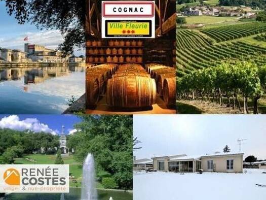 Maison en viager occupé Bouquet 99 420 € 5 pièces 3 chambres 132 m² 1 000 m² de terrain Crouin Cognac 16100