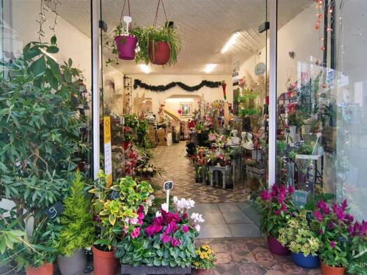 Boutique à vendre Fonds de commerce 32 000 € 1 pièce 110 m² de surface de vente Centre Ville Bourg-Saint-Andéol 07700