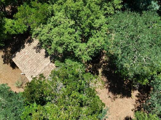 Terrain constructible viabilisé à vendre 1 870 000 € 2 593 m² de terrain Centre Cap Ferret Lège-Cap-Ferret 33950
