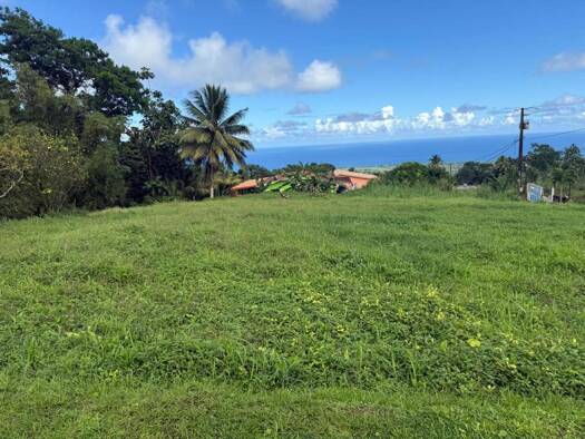 Terrain constructible à vendre 128 000 € 1 389 m² de terrain Basse-Pointe 97218